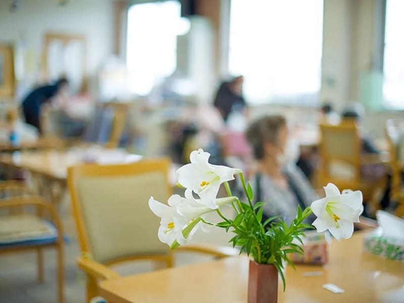 キムラ介護支援サービス - 有料老人ホーム in 三浦市, 神奈川県 photo 2