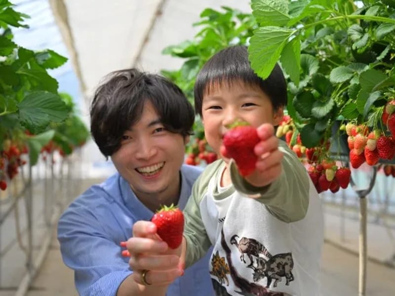 いちご和えの里 - 有料老人ホーム in 福井市, 福井県 photo 5