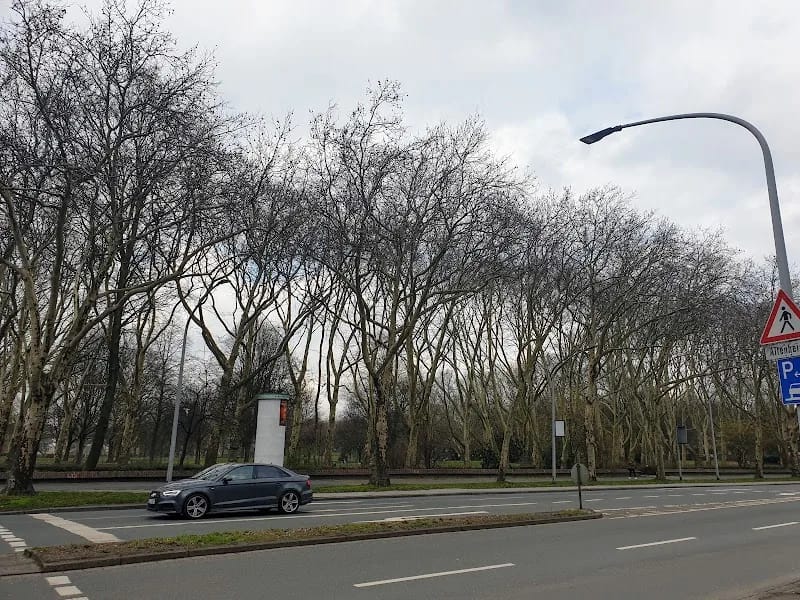 Seniorenzentrum Karl-Jarres-Straße - Pflegeheim in Duisburg, Nordrhein-Westfalen photo 7
