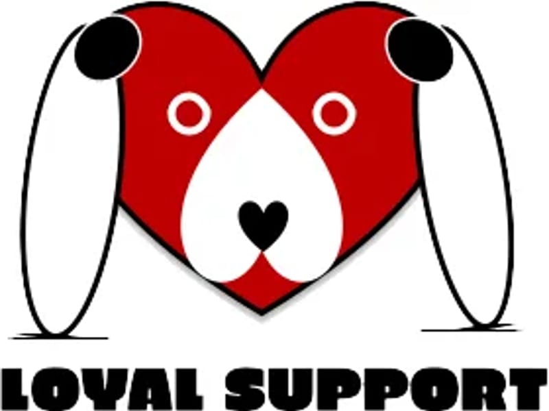 Loyal Support Ltd in Swindon, England photo 3