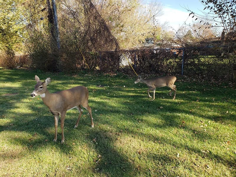 Holy Family Living Center - Assisted Living in Warren, MI photo 2
