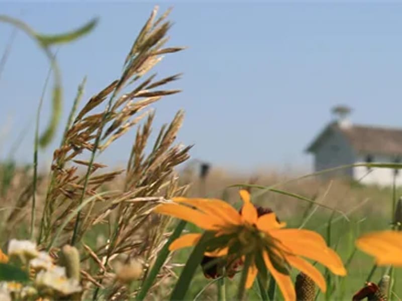Community Supports Of Lincoln (Csl) - Assisted Living in Lincoln, NE photo 2