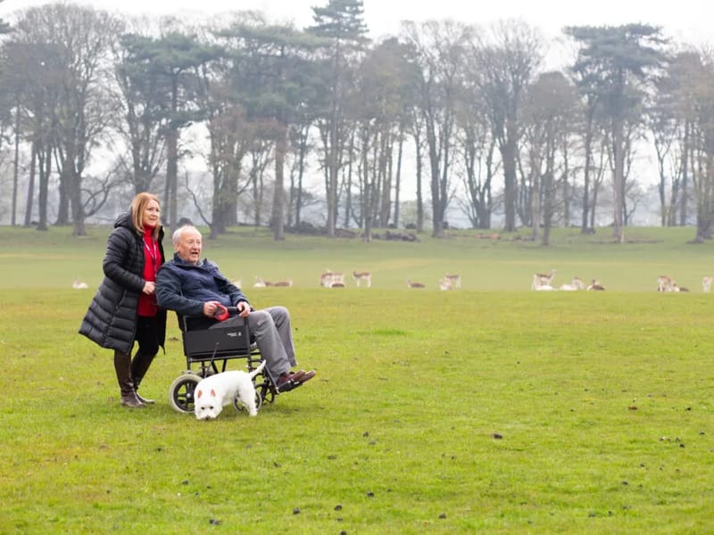 Home Instead Warminster and Gillingham - In-Home Care in Warminster, England photo 2