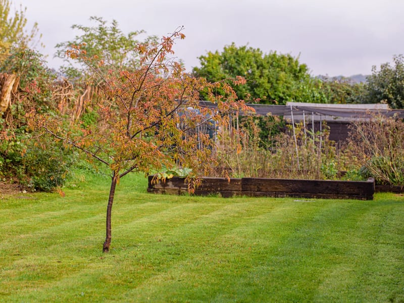 Glynn Court Residential Home - Assisted Living in Fordingbridge, England photo 2
