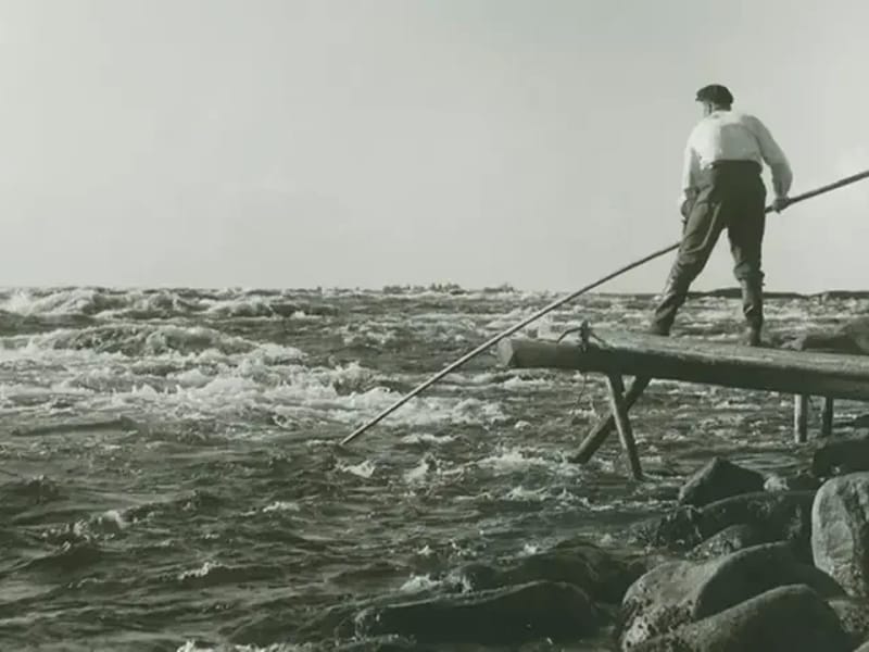 AB Haparandahjälpen - Hemtjänst in Haparanda, Norrbottens län photo 3