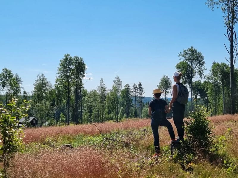 Lingården - Äldreboende in Arvika, Värmlands län photo 2