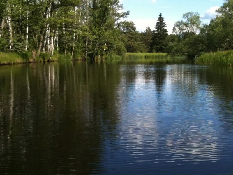 Emmagården - Äldreboende in Vetlanda, Jonkoping County photo 1