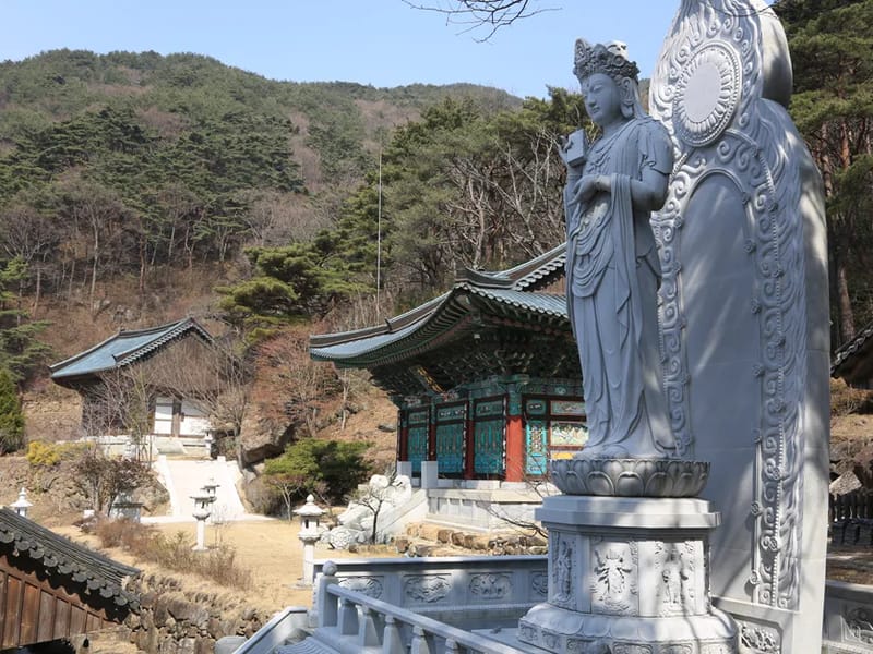 구례의료기 - 요양원 in 구례군, 전라남도 photo 3