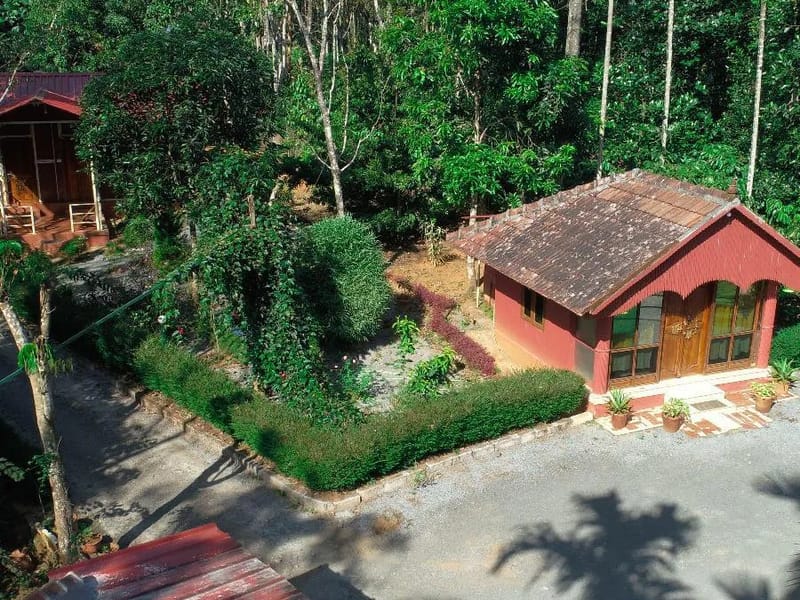 Chyavana Ayurveda Hospital - अस्पताल in Wayanad, Kerala photo 1