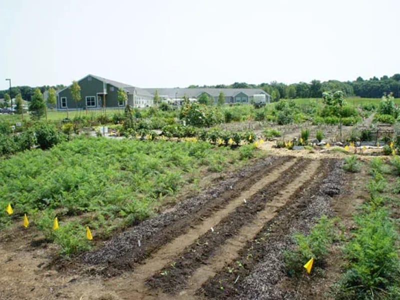 Dionne Commons - Assisted Living in Brunswick, ME photo 2