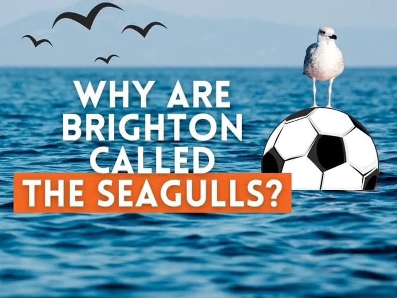The Seagulls - Assisted Living in Brighton, England photo 2