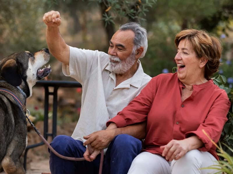 ASOCIACION DE ADULTOS MAYORES Y TERCERA EDAD VIVIR EN PLENITUD - Vida Asistida in Oaxaca De Juárez, Oaxaca photo 2