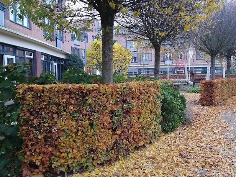 Wooncentrum De Loericker Stee - Begeleid Wonen in Houten, Gelderland photo 2