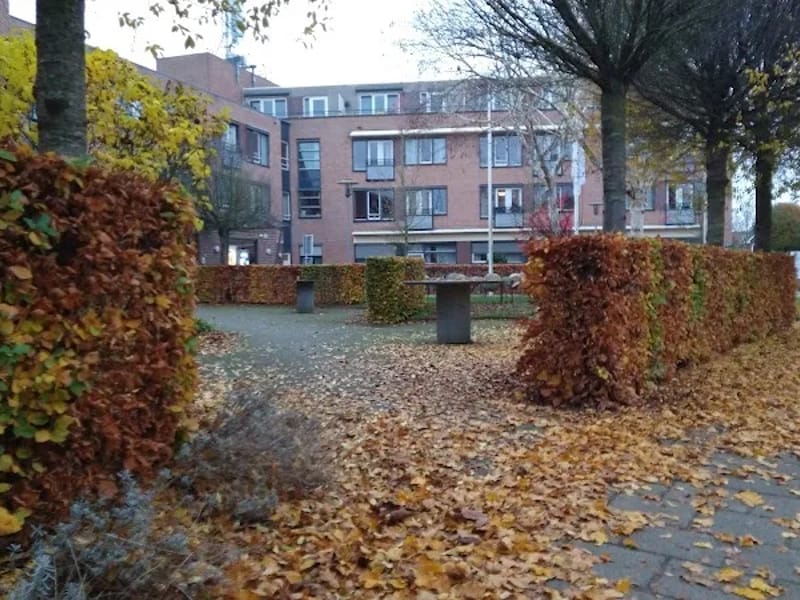 Wooncentrum De Loericker Stee - Begeleid Wonen in Houten, Gelderland photo 8