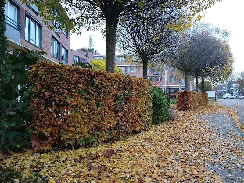 Wooncentrum De Loericker Stee - Begeleid Wonen in Houten, Gelderland photo 6