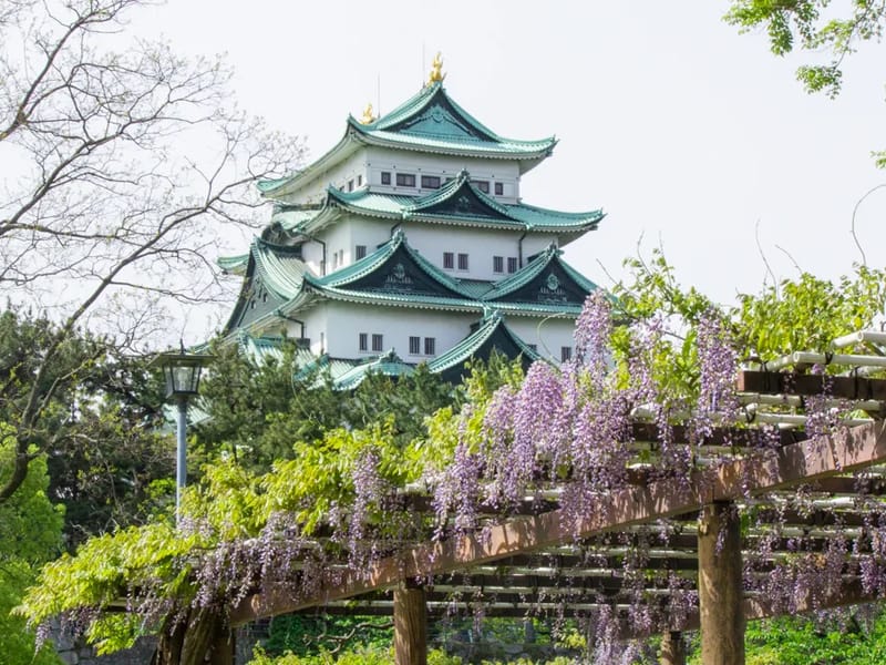 まどか名城公園 - 有料老人ホーム in 名古屋市北区, 愛知県 photo 3
