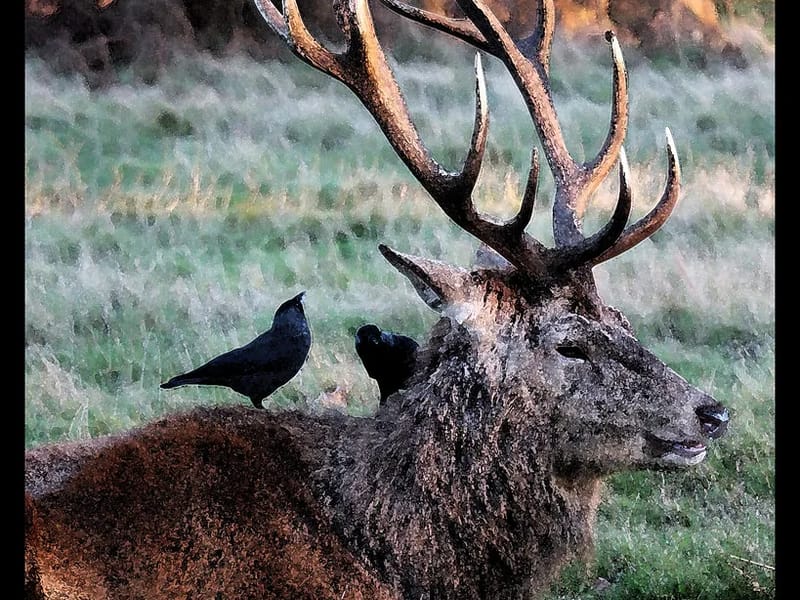 VANCOUVER - Assisted Living in Red Deer, AB photo 1