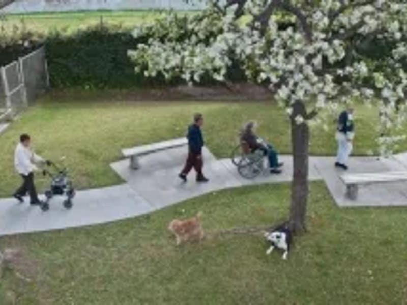 Clear View Sanitarium - Nursing Home in Gardena, CA photo 3