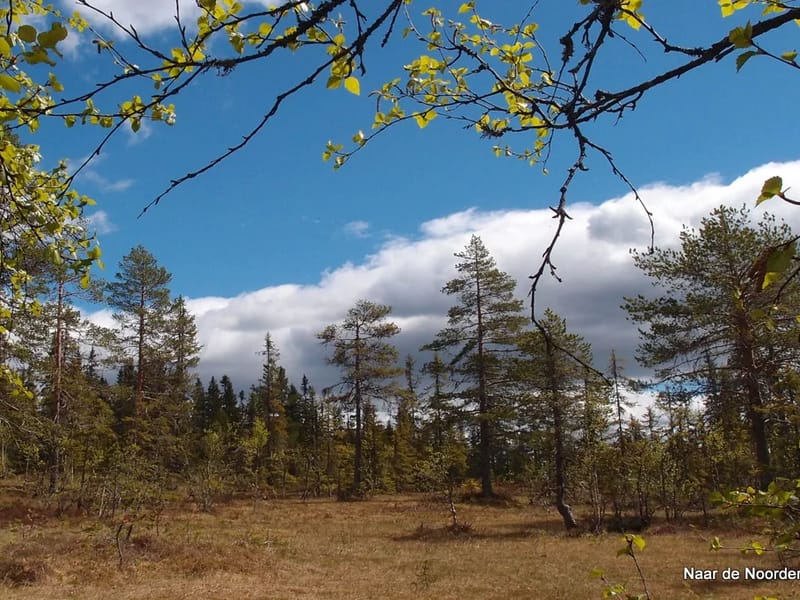 Vallmogården - Äldreboende in Berg, Jämtlands län photo 1