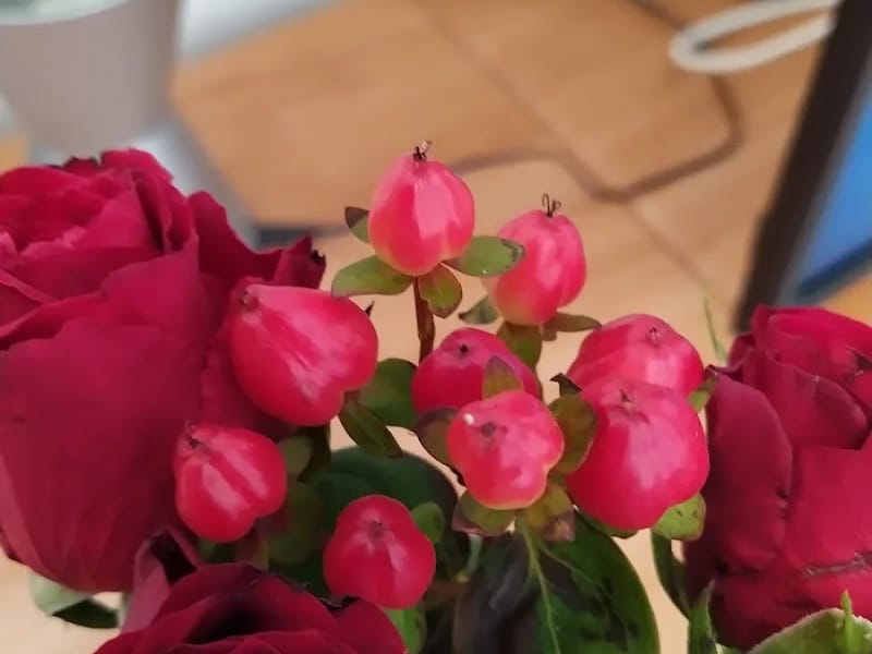 Radis Community Care (Park Gardens) - Assisted Living in Banbury, England photo 6