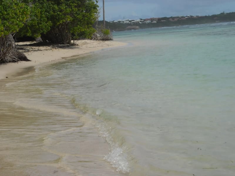 L'Oasis De Bois Jolan - EHPAD in STE ANNE, Guadeloupe photo 2