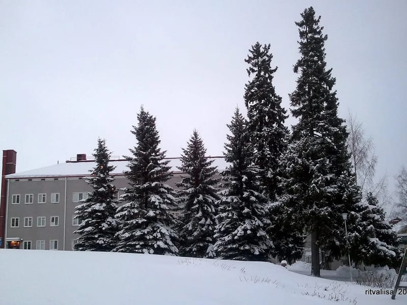 Vanhainkoti Isokyrö in Isokyrö, Pohjanmaa photo 1