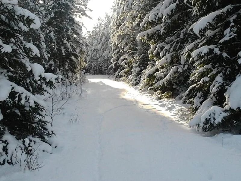 Skillingaryd - Äldreboende in Vaggeryd, Jonkoping County photo 3