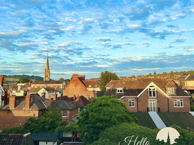 Dorking Manor - Nursing Home in Dorking, England photo 1