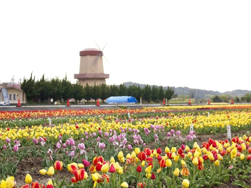 いきいきの郷はくた - 有料老人ホーム in 安来市, 島根県 photo 2