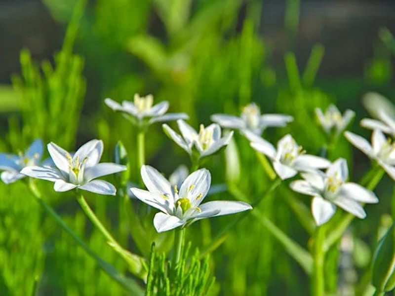 グルッペ　野の花 - 有料老人ホーム in 鹿児島市, 鹿児島県 photo 3