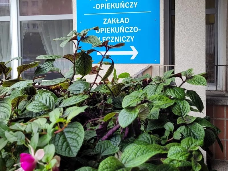 Opieka Długoterminowa Jastrzębie-Zdrój - Pielęgniarstwo domowe in Jastrzębie-Zdrój, Jastrzębie-Zdrój photo 4