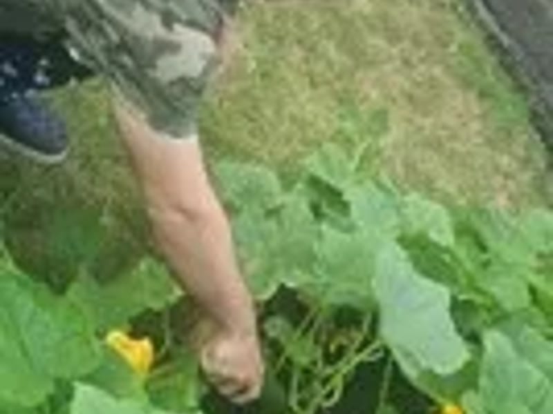 Ansar Projects - Adult Day Care in Grantham, England photo 1