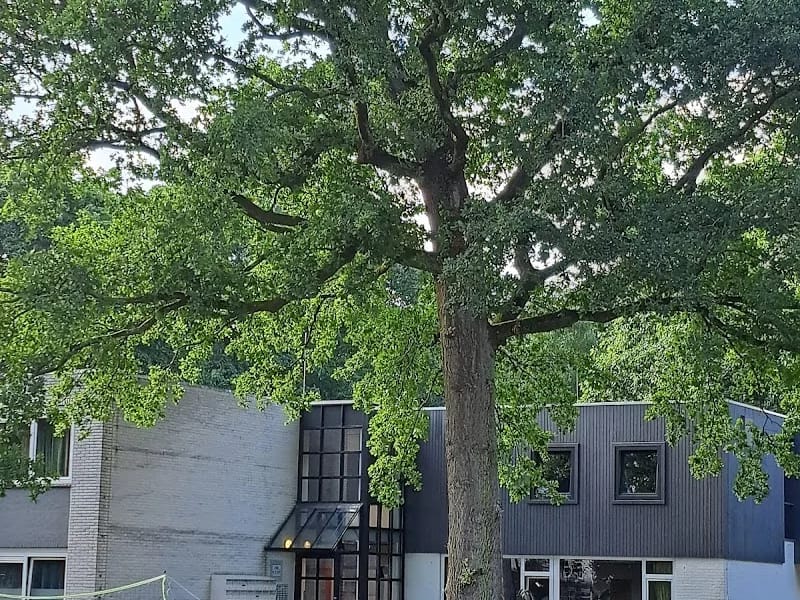 ZZG zorggroep - Begeleid Wonen in Groesbeek, Gelderland photo 5