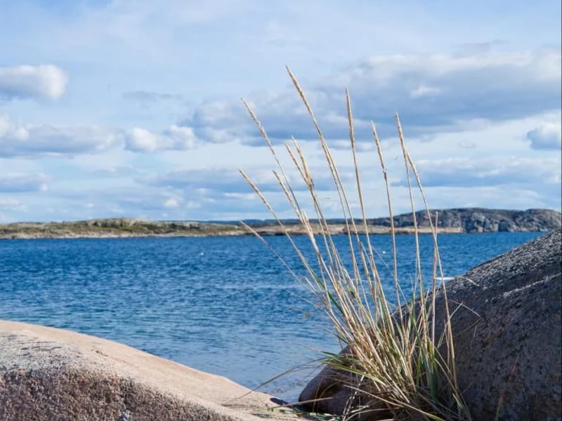 Hessegården - Äldreboende in Borlänge, Dalarnas län photo 2