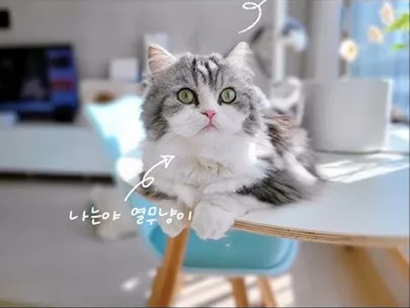 고양우리집 in 고양시, 경기도 photo 2