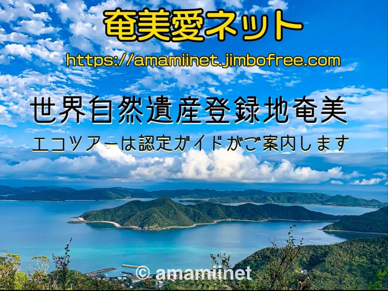 わんわん支援ネット - 有料老人ホーム in 奄美市, 鹿児島県 photo 1