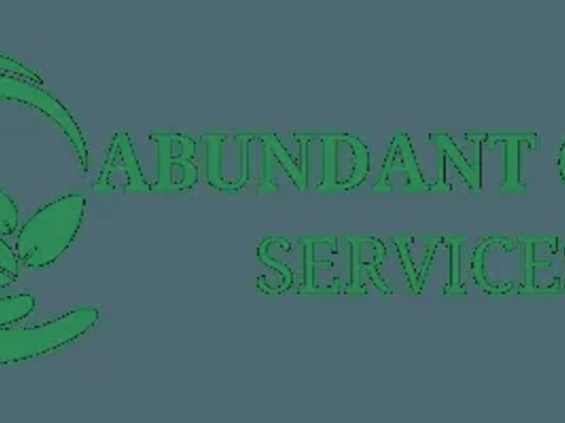 ABUNDANT CARE SERVICES - Home Health Nursing in Towson, MD photo 1
