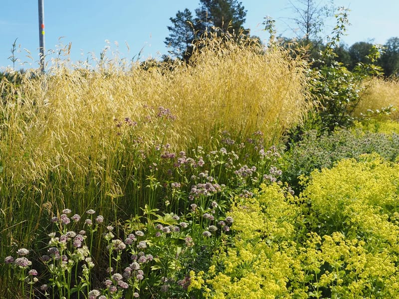 Fresta Södra Allé - Äldreboende in Upplands Väsby, Stockholms län photo 2