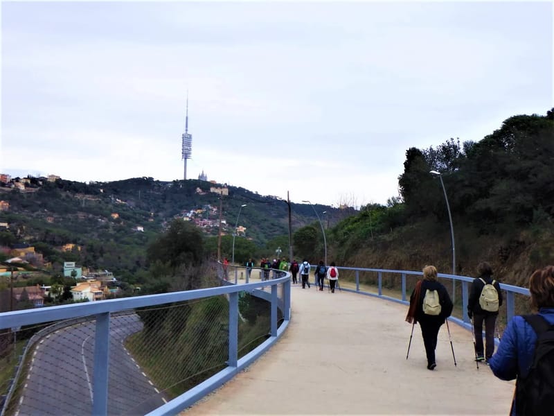 Centre Collserola (centre de dia) - Centro de Día in Barcelona, Cataluña photo 2