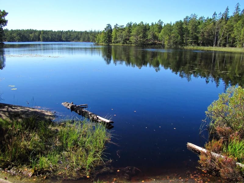 Tallgården - Äldreboende in Huddinge, Stockholms län photo 1