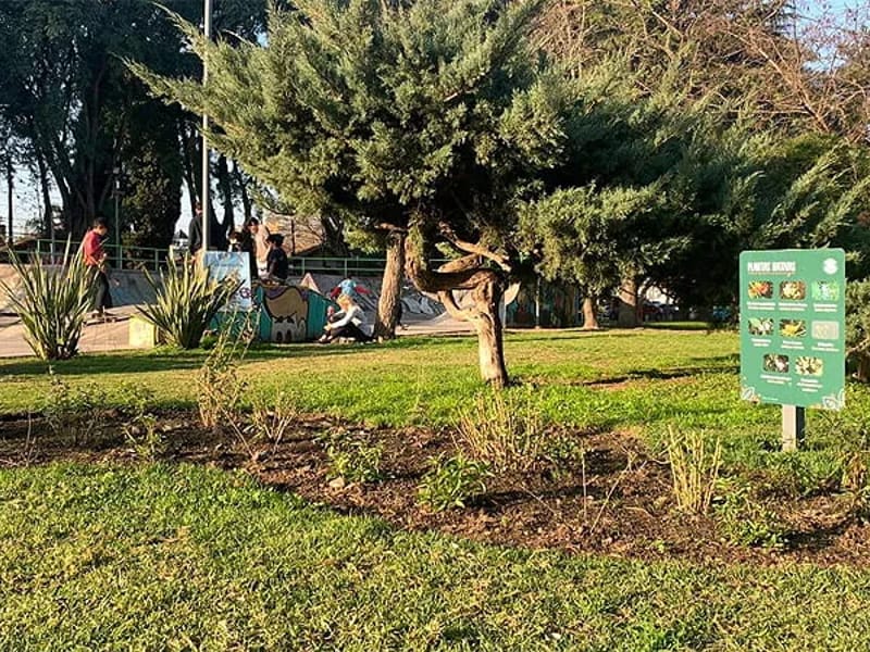 The Senior Garden - San Martin - Vida Asistida in BELEN DE ESCOBAR, BUENOS AIRES photo 3