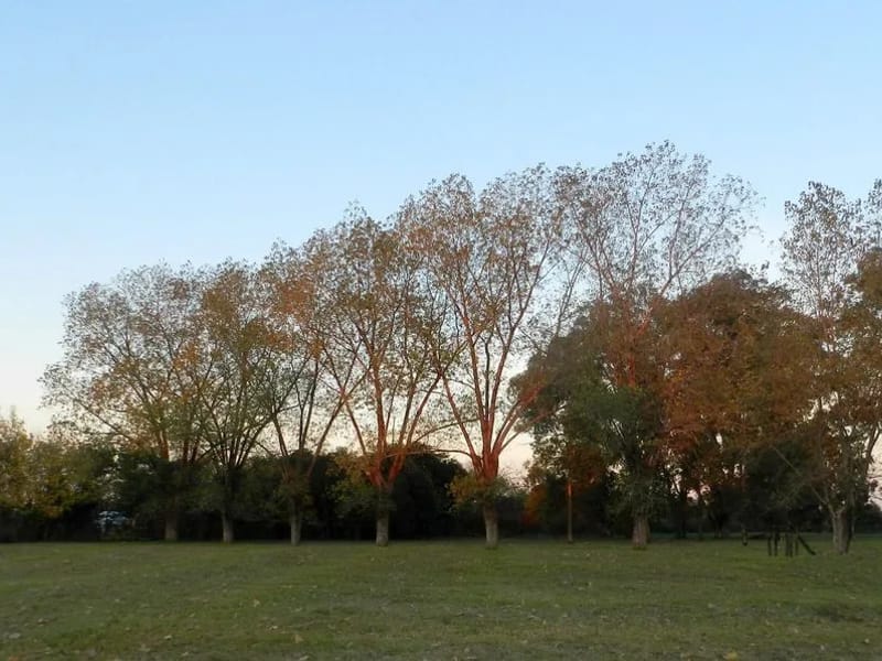 The Senior Garden - San Martin - Vida Asistida in BELEN DE ESCOBAR, BUENOS AIRES photo 2