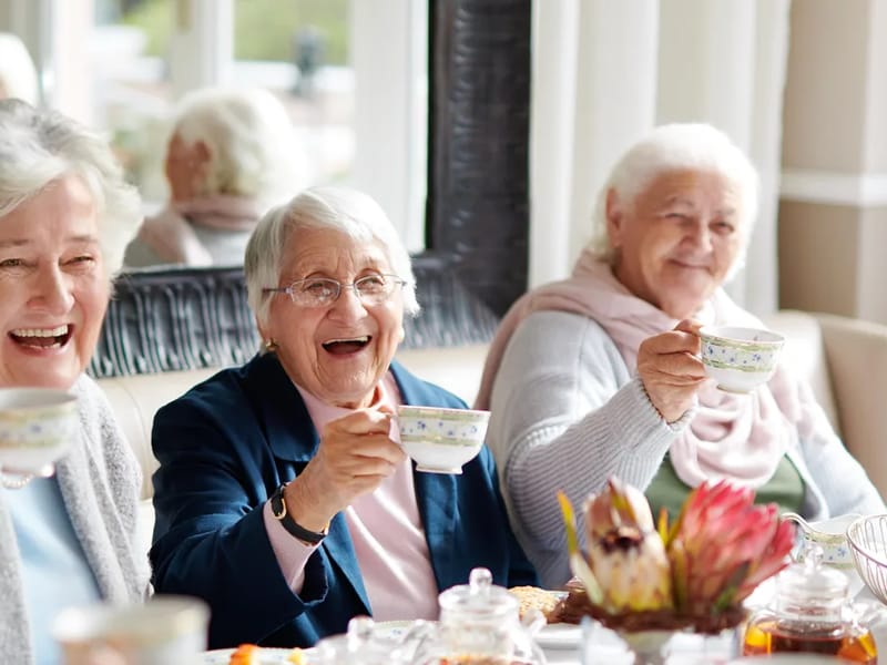 Addington Place Of Clarkston - Assisted Living in Clarkston, MI photo 1