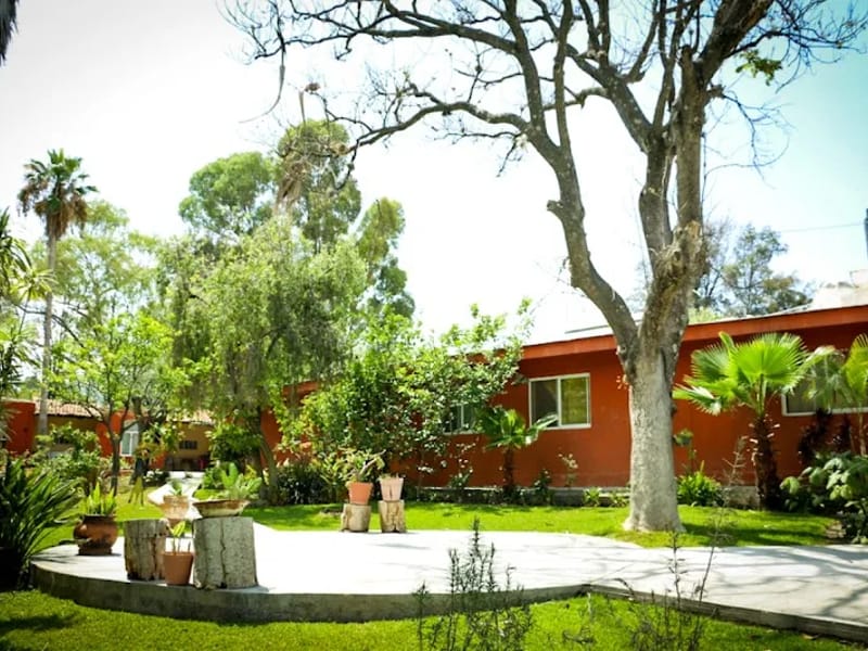 CASA DE ANCIANOS - Hogar de Ancianos in Chapala, Jalisco photo 5