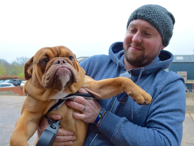 247 Live-in Companions LTD - In-Home Care in Brentwood, England photo 3