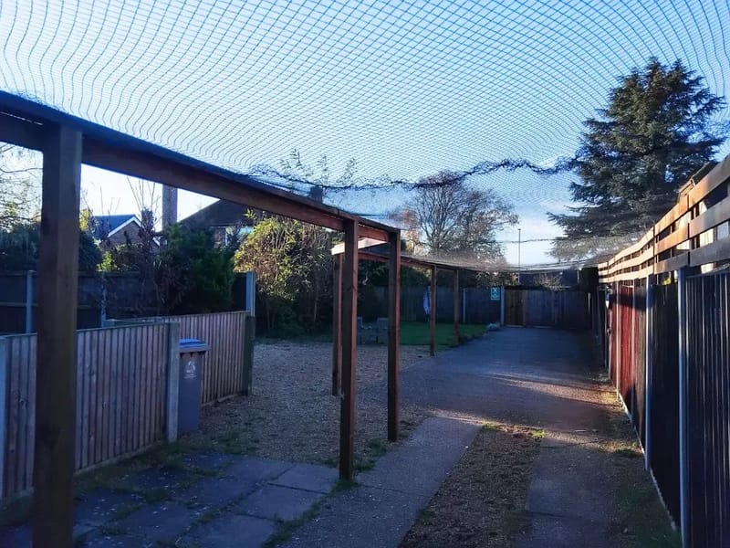 Casarita in Norwich, England photo 3