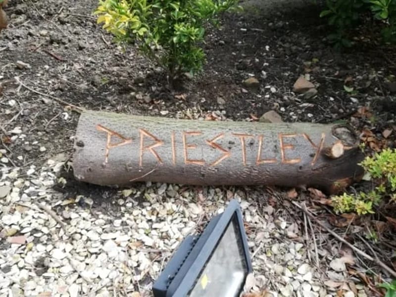 Priestley - Assisted Living in Batley, England photo 1