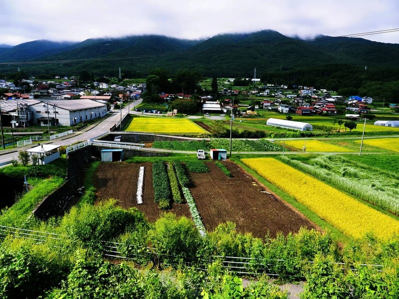 すずらんの里 - 有料老人ホーム in 八代市, 熊本県 photo 3