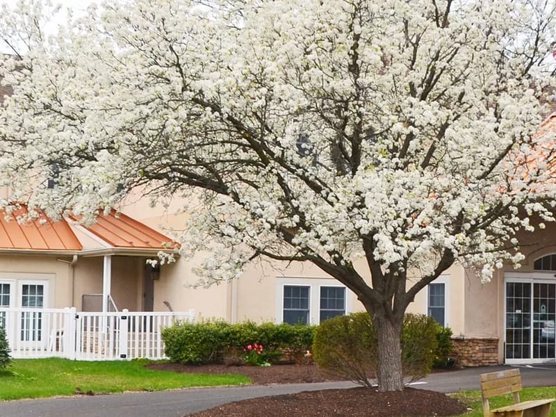 Chandler Hall Health Services, Inc - Jordans-phelps — Assisted Living, Newtown, PA · photo 3