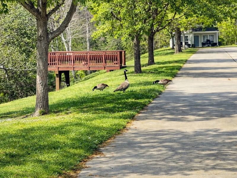 Brookside Assisted Living Community — Assisted Living, Mobile, AL · photo 3